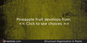 Pineapple Fruit Develops From Biology Question