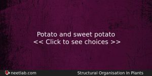 Potato And Sweet Potato Biology Question