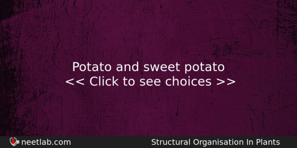 Potato And Sweet Potato Biology Question 