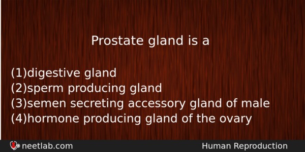Prostate Gland Is A Biology Question 