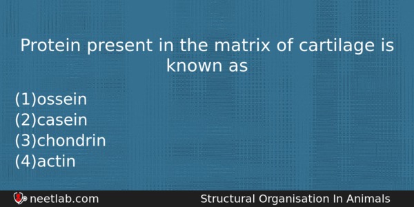 Protein Present In The Matrix Of Cartilage Is Known As Biology Question 