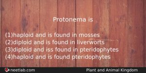 Protonema Is Biology Question