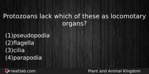 Protozoans Lack Which Of These As Locomotary Organs Biology Question