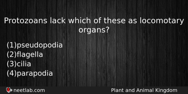 Protozoans Lack Which Of These As Locomotary Organs Biology Question 