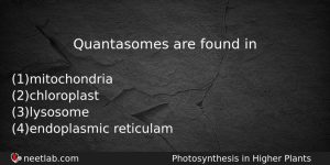 Quantasomes Are Found In Biology Question