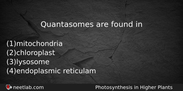 Quantasomes Are Found In Biology Question 