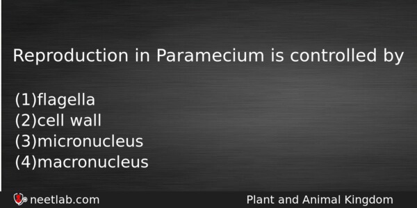 Reproduction In Paramecium Is Controlled By Biology Question 
