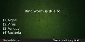 Ring Worm Is Due To Biology Question