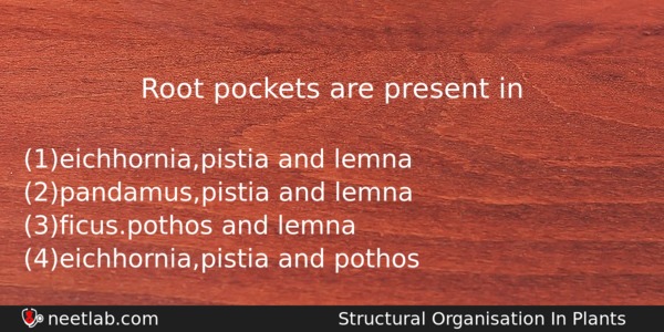 Root Pockets Are Present In Biology Question 