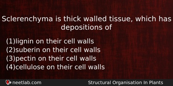 Sclerenchyma Is Thick Walled Tissue Which Has Depositions Of Biology Question 