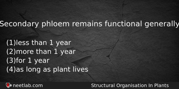 Secondary Phloem Remains Functional Generally Biology Question 