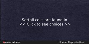Sertoli Cells Are Found In Biology Question