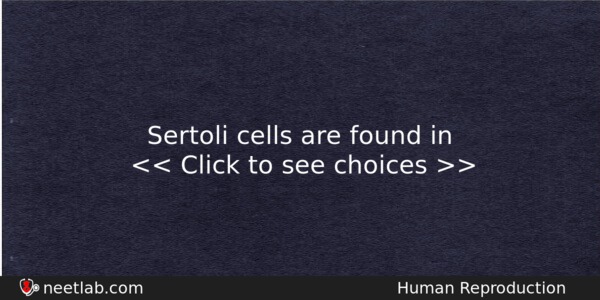 Sertoli Cells Are Found In Biology Question 