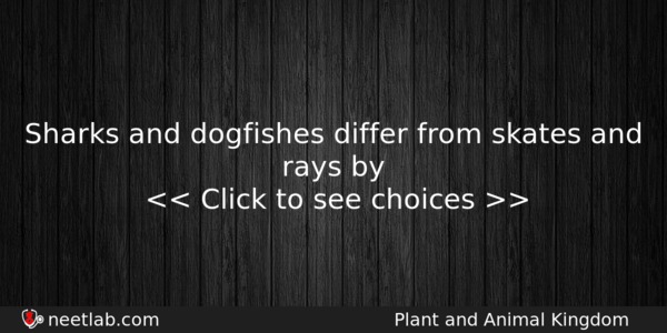 Sharks And Dogfishes Differ From Skates And Rays By Biology Question 