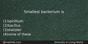 Smallest Bacterium Is Biology Question