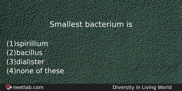 Smallest Bacterium Is Biology Question 