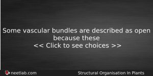 Some Vascular Bundles Are Described As Open Because These Biology Question