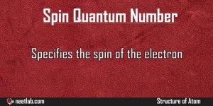 Spin Quantum Number Structure Of Atom Explanation