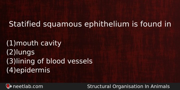Statified Squamous Ephithelium Is Found In Biology Question 