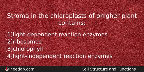 Stroma In The Chloroplasts Of Ohigher Plant Contains Biology Question 