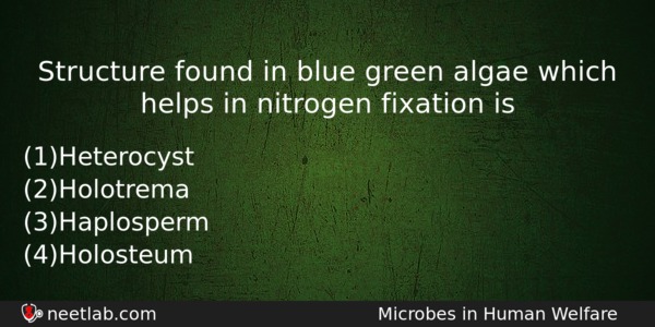 Structure Found In Blue Green Algae Which Helps In Nitrogen Biology Question 