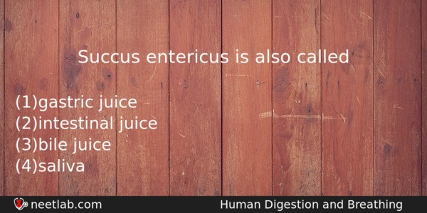 Succus Entericus Is Also Called Biology Question 