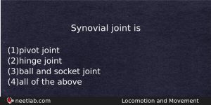 Synovial Joint Is Biology Question