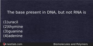 The Base Present In Dna But Not Rna Is Chemistry Question