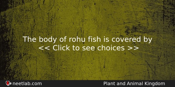 The Body Of Rohu Fish Is Covered By Biology Question 