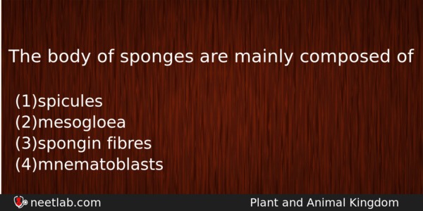 The Body Of Sponges Are Mainly Composed Of Biology Question 