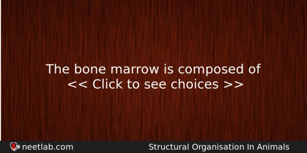 The Bone Marrow Is Composed Of Biology Question 
