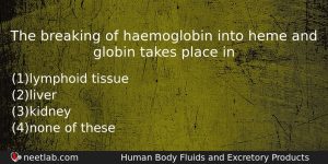 The Breaking Of Haemoglobin Into Heme And Globin Takes Place Biology Question