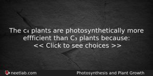 The C Plants Are Photosynthetically More Effficient Than C Plants Biology Question