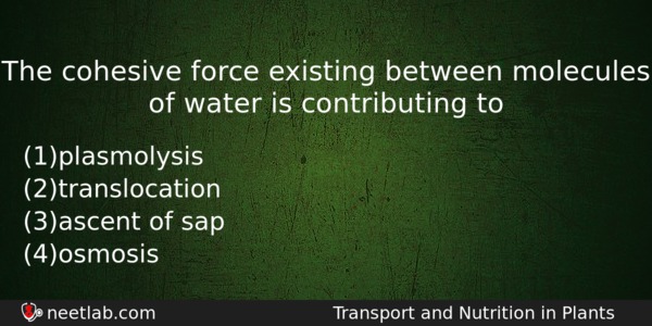 The Cohesive Force Existing Between Molecules Of Water Is Contributing Biology Question 