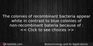 The Colonies Of Recombinant Bacteria Appear White In Contrast To Biology Question