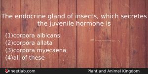 The Endocrine Gland Of Insects Which Secretes The Juvenile Hormone Biology Question