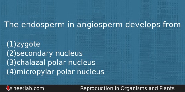 The Endosperm In Angiosperm Develops From Biology Question 