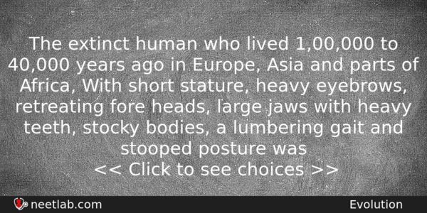 The Extinct Human Who Lived 1 00 000 To 40 000 Years Ago In Europe Neetlab