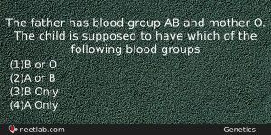 The Father Has Blood Group Ab And Mother O The Biology Question