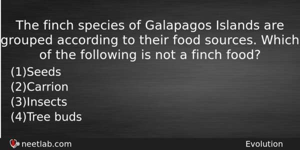 The Finch Species Of Galapagos Islands Are Grouped According To Biology Question 