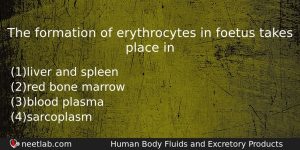 The Formation Of Erythrocytes In Foetus Takes Place In Biology Question