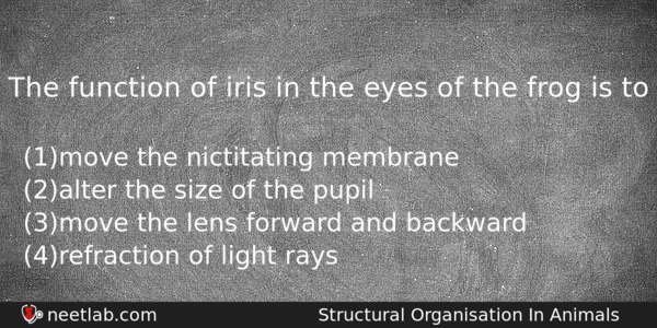 The Function Of Iris In The Eyes Of The Frog Biology Question 