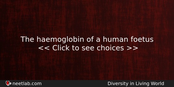 The Haemoglobin Of A Human Foetus Biology Question 