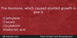 The Hormone Which Caused Stunted Growth In Pea Is Biology Question