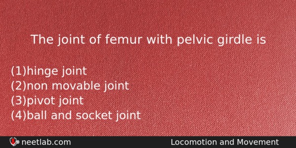The Joint Of Femur With Pelvic Girdle Is Biology Question 