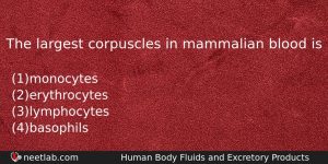 The Largest Corpuscles In Mammalian Blood Is Biology Question
