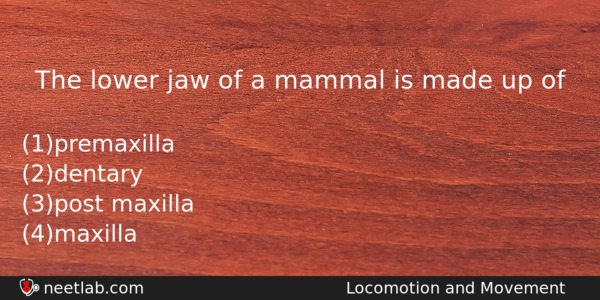 The Lower Jaw Of A Mammal Is Made Up Of Biology Question 