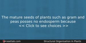 The Mature Seeds Of Plants Such As Gram And Peas Biology Question