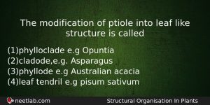 The Modification Of Ptiole Into Leaf Like Structure Is Called Biology Question