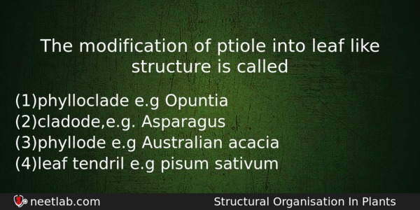 The Modification Of Ptiole Into Leaf Like Structure Is Called Biology Question 